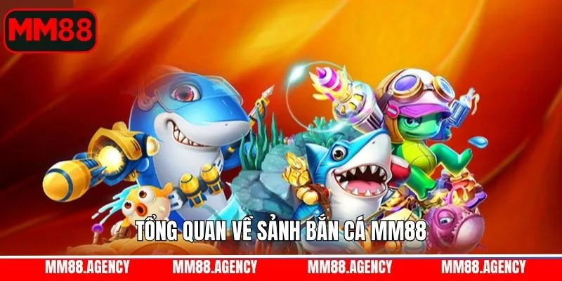 Tổng quan về săn cá đại dương Tổng quan về săn cá đại dương